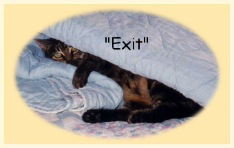 In memory of my cat Exit